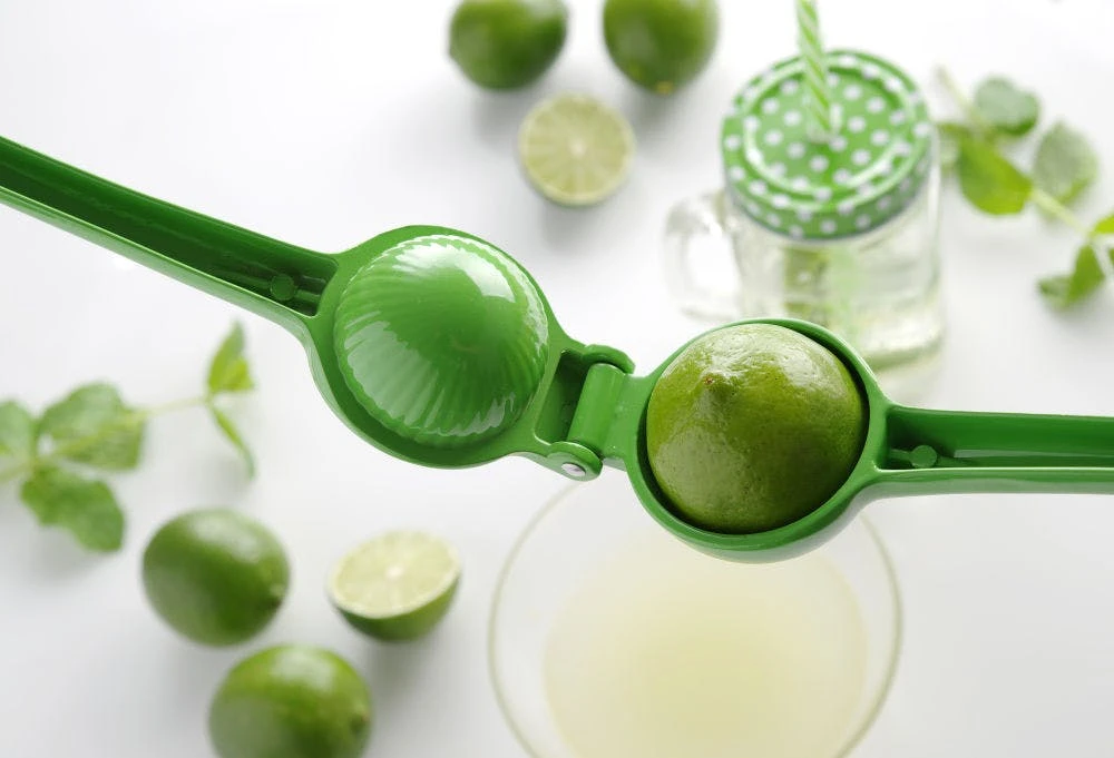 Bosch Zitruspresse MCP3500N ws/sommerge Bosch Zitruspresse MCP3500N Ws/sommerge -Schneider® Geschäft 7bc651bc a3b4 44d8 9ff4 80facad18f0d